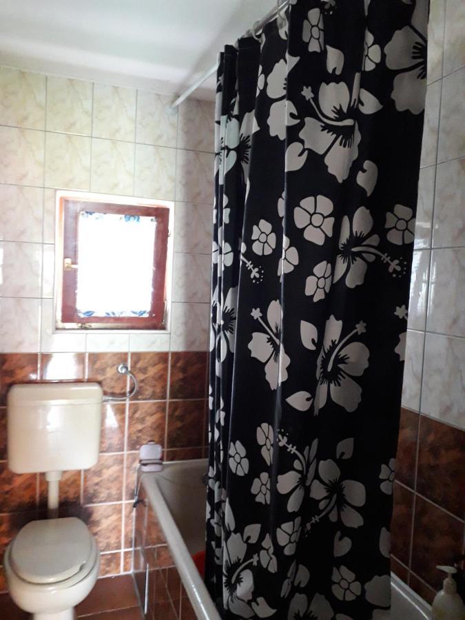 באניה לוקה Hostel Topic מראה חיצוני תמונה